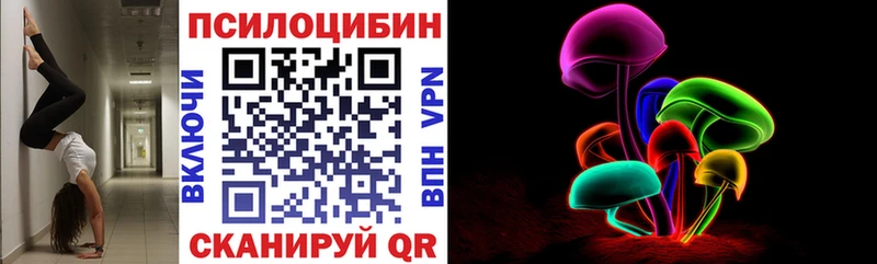 Псилоцибиновые грибы Psilocybe  магазин продажи   OMG tor  Свободный 